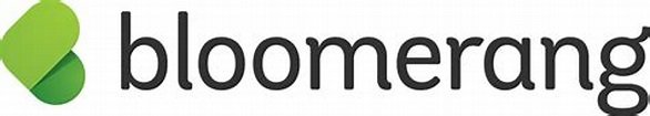 bloomerang logo